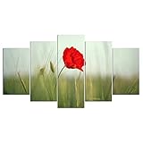 Laimi 5-TLG Rote Mohnblumen Set Keilrahmen-Malen-Canvas zum Aquarellfarbe Ölfarbe Acrylfarbe malen-Leinwand auf Keilrahmen aus Holz Säurefreie Baumwolle Leinw