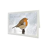 Rotkehlchen Weihnachtskarte Inklusive Umschlag Vogel Zeichnung Frohe W