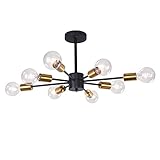 QINAIDI Kronleuchter Modern Semi Flush Mount Decken Licht, 8-Light Pendent Light Fixture Oder Wohnzimmer Schlafzimmer Esszimmer Küche Büro,G