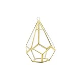 Berhgjjsds Schmuckaufbewahrung Hängende hängende Glas Terrarium Moderne künstlerische Wand reißen Form Diamant geometrische polyeder Luft Pflanze Halter Schreibtisch Pflanzer (Color : Gold)