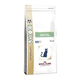 ROYAL CANIN Dental - Katzenfutter für die Zahn- und Mundhygiene 3kg