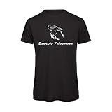 Harry Potter T-Shirt Expecto Patronum - Patronus Lupo Silber, Schwarz XL