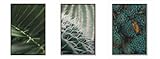 Grafitia Green | Bilder Poster | Leinwand-Bild Wandbilder | Perle Karton Leinwand50x70 cm | Gemälde Wohnzimmer und Schlafzimmer | Home Décor Natur | (3-er Set mit Rahmen)