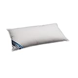 ARKTIC Plus Daunenkissen arktischer Daunenflaum 100 % Daunen 40x80 cm ohne F
