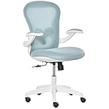 Vinsetto Bürostuhl mit Mesh-Gewebe Schreibtischstuhl Höhenverstellbarer Gaming-Stuhl Home-Office ergonomisches Design Schaumstoff Nylon Mesh Blau+Weiß 66 x 59 x 97-106,5