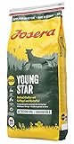 JOSERA YoungStar (1 x 15 kg) | getreidefreies Welpenfutter für mittlere und große Rassen | Super Premium Trockenfutter für wachsende Hunde | 1er Pack