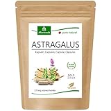 MoriVeda® Astragalus Kapseln 1600mg I 20:1 Tragant-Wurzel-Pulver-Extrakt I 112mg Polysaccharide für Immunsystem und Zellschutz I Vegan & Glutenfrei (90 Kapseln)