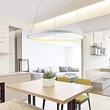 80cm Esszimmer Pendelleuchte LED Warmweißes Licht Esstischleuchte Modern Minimalistisch Runden Hängeleuchte Kronleuchter LED Beleuchtung Büro Wohnzimmer Küche Leuchte Hängelampe Weiß Höhenverstellb