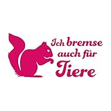 Folistick Ich Bremse auch für Tiere Aufkleber Eichhörnchen Autoaufkleber (PINK)