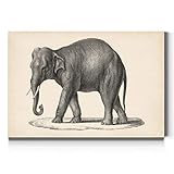 Renditions Gallery Brodtmann Elefanten-Wandkunst, Bleistiftskizzen-Druck, Schwarz und Knochenweiß, Premium Safari, Designer-Galerie-verpackt, fertig zum Aufhängen, 61 x 91 cm, hergestellt in den US