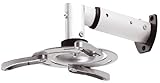 My Wall H16-5L, 20 Jahre Garantie, Wandhalterung Beamer (Belastbarkeit 35 cm, Deckenabstand 260/335mm) silb