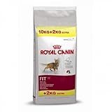 Royal Canin Feline Fit 32 10kg+2kg, Katzenfutter, Trock