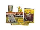 JOSERA Welpenbox mit Kids Welpenfutter | für mittlere und große Rassen | inklusive Messbecher, Welpenfibel und Quietsche-Spielzeug | Super Premium Trockenfutter für wachsende Hunde | 1er Pack