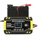 DTIN 8A Autobatterie-Ladegerät, 12V/24V Smart Automatisches Batterieladegerät für Autos, Motorräder, LKW, R