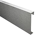 Sockelleiste Edelstahl Fußbodenleisten V2A L250cm 60mm silber gebürstet Profil 2,5