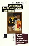 Geschichte der literarischen Moderne: Sprache, Ästhetik, Dichtung im zwanzigsten J