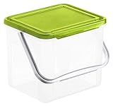 Rotho Basic Aufbewahrungsbox 5l mit Deckel und Henkel, Kunststoff (PP) BPA-frei, grün, 3kg/5l (21,0 x 20,0 x 18,0 cm)
