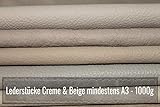 Lederreste A3 - Bastelleder 1 Kg - Sortiert Beige Creme (Verschiedene Töne), Alle Stücke Mind. DINA3 - Zum Basteln und N