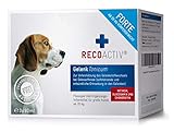 RECOACTIV Gelenk Forte Tonicum für Hunde, 3 x 90 ml, Diät-Ergänzungsfuttermittel bei degenerativen Gelenkerkrankungen, mit Grünlippmuschel, Glucosamin, Chondroitinsulfat, MSM, Teufelskralle & Omega-3