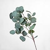 HANRUO Künstliche Eukalyptus-Pflanzen, lange Stiel, Blumen-Arrangement, Zubehör, Seide, Eukalyptu-Zweige für Heimdekoration (Farbe: 3)