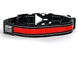 Cesar Millan Original Bright Light Collar LED Hundehalsband USB Solar, Größe S