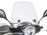Windschild Puig Trafic transparent/k