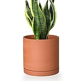 Kleiner 15,2 cm großer Terracotta-Blumentopf mit Drainageloch und Untersetzer, runder Zylinder-Pflanztopf für Zimmerpflanzen, 40-B-S-1
