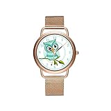 Frauen Uhren Marke Luxus Damen Mesh Gürtel ultradünne Uhr wasserdichte Uhr Quarzuhr Weihnachten geschnittene Blaue Eule Armbanduhr #Accessory #W