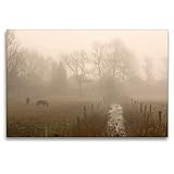 CALVENDO Premium Textil-Leinwand 120 x 80 cm Quer-Format Morgennebel bei Witzwort, Leinwanddruck von Wolfgang Zwanzg