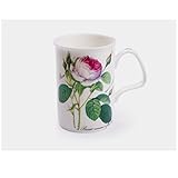 Roy Kirkham Redoute Rose Lancaster Becher, weiß