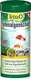 Tetra Pond Fadenalgenschutz Algenvernichter - schützt Oberflächen im Teich vor dem Bewuchs von Schmier- und Fadenalgen, 250 ml F