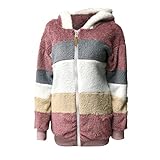 PAOLIAN Plüschjacke Damen Wintermantel Frauen Fleecejacke Oversized Winterjacke Warmer Plüsch Hoodie Zip mit Kapuze Teddyjacke Kapuzenjacke Mantel Teddymantel Plüschige Jack