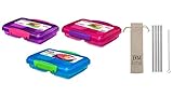 Sistema Lunchbox 3er Set small Split 2fach unterteilt 350 ml pink, blau, lila + Gratis 4er Set EKM Living Edelstahl Trink