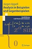 Analysis in Beispielen und Gegenbeispielen: Eine Einführung in die Theorie reeller Funktionen (Springer-Lehrbuch)