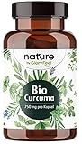 Bio Curcuma - 240 Kapseln - 4602mg (Bio Kurkuma + Bio schwarzer Pfeffer) pro Tagesdosis - Mit Curcumin + Piperin - Laborgeprüft, hochdosiert ohne Zusätze hergestellt in D