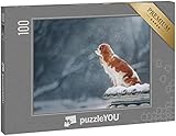 puzzleYOU: Puzzle 100 Teile „Cavalier King Charles Spaniel on a Snow Walk in The Park“