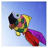 Drachen 1 stück Regenbogen Fisch Drachen Windsocke Outdoor Garten Dekor Kinder Linie Wäscherei Kinder Spielzeug Kinderspielzeug