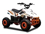 Kinder Quad KXD MOTO ATV 110 ccm Bike Kinderquad Kinderfahrzeug Miniquad Midiquad Funsport Kids Pocket Dirtbike Pitbike Automatik Neuheit 001'6' Blau - Germany Q
