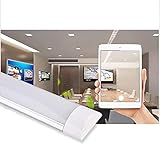 LED Röhre Deckenleuchten 20W,Badezimmer Lampe LED Tubelicht Deckenlampe,2000LM Kaltweiß 6500K Deckenlampe Wohnzimmer für Garage Lager Werkstatt Bad Feuchtraum Büro Keller Shop 60CM