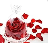 Ewige Rose Handgefertigt Konservierte Rose mit Glaskuppel Der Engel benutzt Flügel, um eine liebevolle Statue zu tragen Freundin/Muttertag/Geburtstag/Hochzeitstag/Künstliche (Rot)
