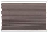 Nicht Zutreffend Plissee Rollo Sonnenschutz | Taupe | 80x210 cm | Poly
