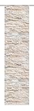 Home Fashion SCHIEBEVORHANG DEKOSTOFF Digitaldruck WALLI, Stoff, Natur, 245 x 60