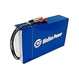 Wallen Power【DE Warehouse 36V 15Ah Ebike Akku Lithium Batterie Ebike Batterie Elektrofahrrad Akku Lithium Li-Ion PVC E-Bike Akku für 500W 250W 200W M