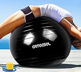 arteesol Gymnastikball Pilates Ball 45cm / 55cm / 65cm / 75 cm/ 85cm inkl. Pumpe Anti-Burst Sitzball für Yoga Exercise Fitness Physiotherap