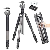 INNOREL RT85C Kohlefaser-Stativ 184cm 2-in-1 Dreibeinstativ Einbeinstativ Fachmann Schwerlast Kamerastativ Max Belastung 25kg Max Rohr 32mm mit Mittelsäule N44 Kugelkopf Stativtasche(RT85C+N44)