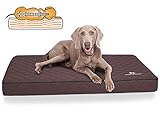 Knuffelwuff Orthopädische Hundematte Juna Hundebett aus laser gestepptem Kunstleder waschbar Hunde ortho orthopädisch memory XXL 110x66cm B