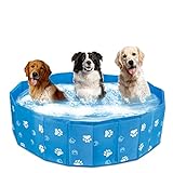 PQW Zusammenklappbare Haustierhundkatze Schwimmbad PVC-Waschbecken-Hundewanne 31.44x7.86inch Kleines Hund Schwimmbad Bad Bett Sommer Schwimmbad (blau)