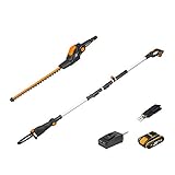 WORX 18V(20V MAX) Akku Teleskop Heckenschere & Hochentaster WG908E, PowerShare, 2,0 Ah, Dual-Schnittklingen, automatischer Kettenspannung, automatische Ölschmierung, 1 Std. Schnellladeg