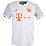 adidas FC Bayern München Trikot Away (L, Grey/White)