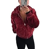 Herbst Und Winter Damen Casual Fashion Mit Kapuze Reine Farbe PlüSch ReißVerschluss Langarm Lose Top Kurzmantel D